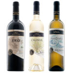 MURVIEDRO Wine label design by ineodesignstudio.com